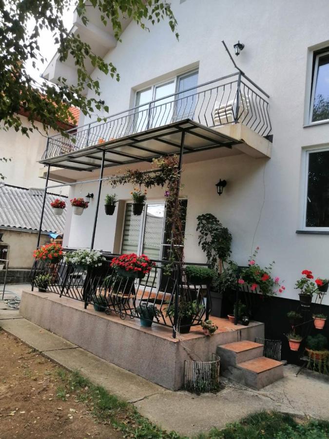 Apartment Mihajlovic 弗拉涅 外观 照片